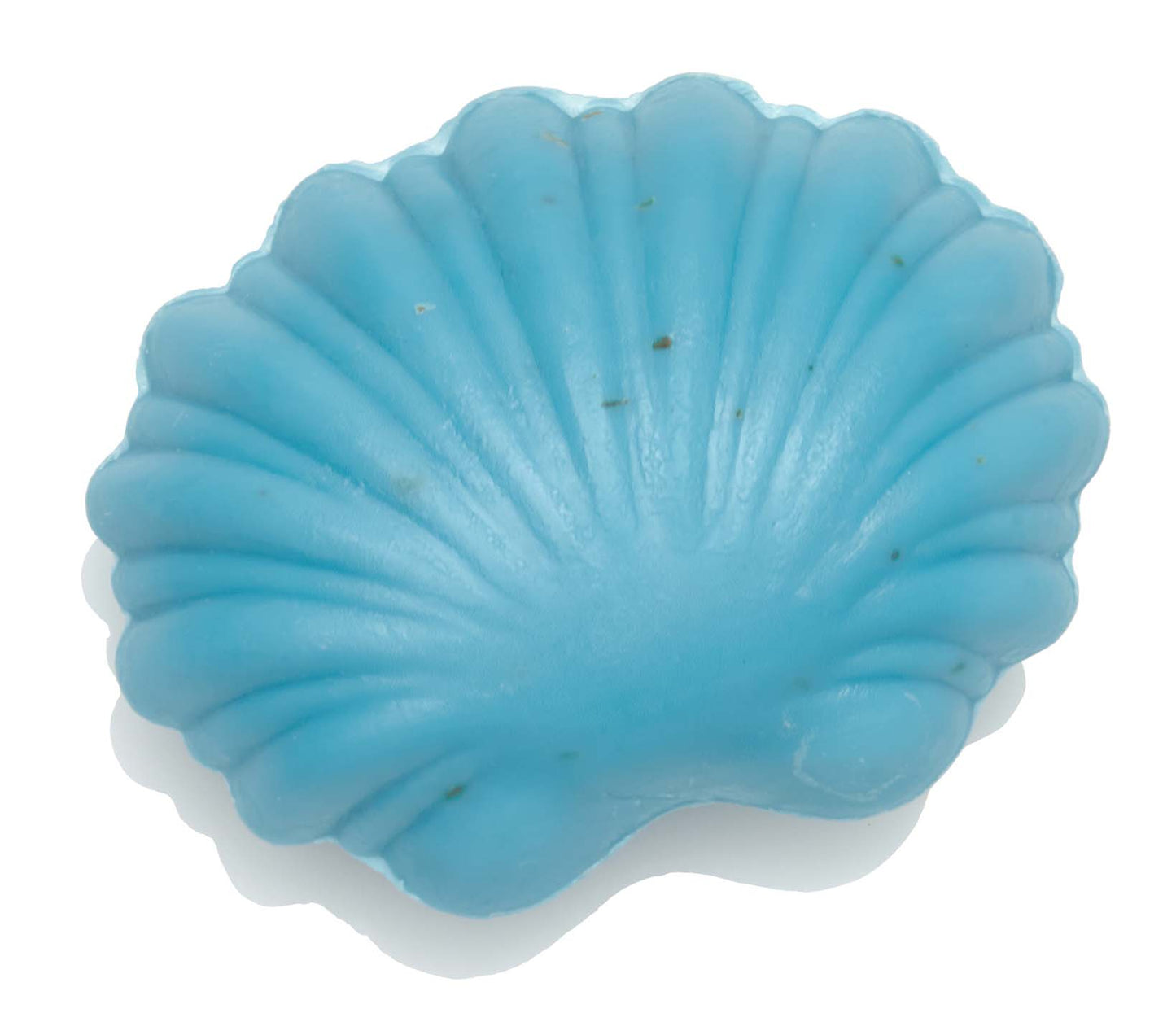 Muschel-Meeresbrise Seife türkis-100g